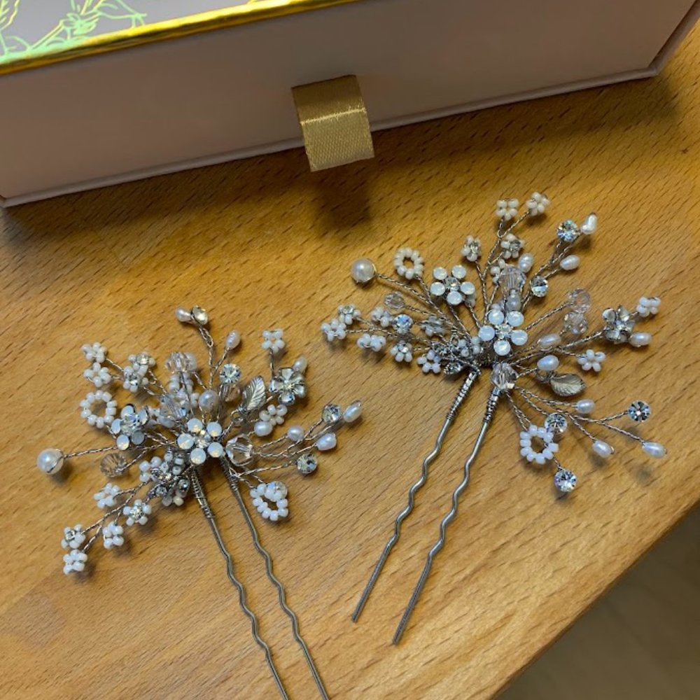 Twigs & Honey Shimmering Blossom Burst Hair Pins - Silver